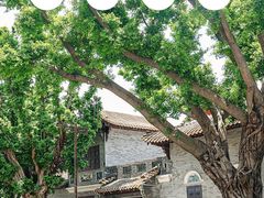 -豆豆冰室·地道招牌椰子冻(大良店)