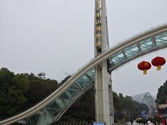 -南山植物园