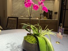 -狮王府淮扬菜(万象城店)