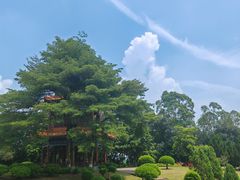 -广州莲花山旅游区