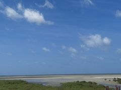 -北海金海湾红树林生态旅游区