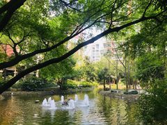 -世纪同乐绿地世纪城二期