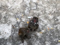 -福州动物园
