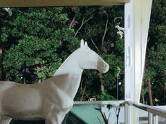 -名驭国际马术学院