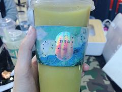 -野萃山·潮汕厚果汁(十亩地店)