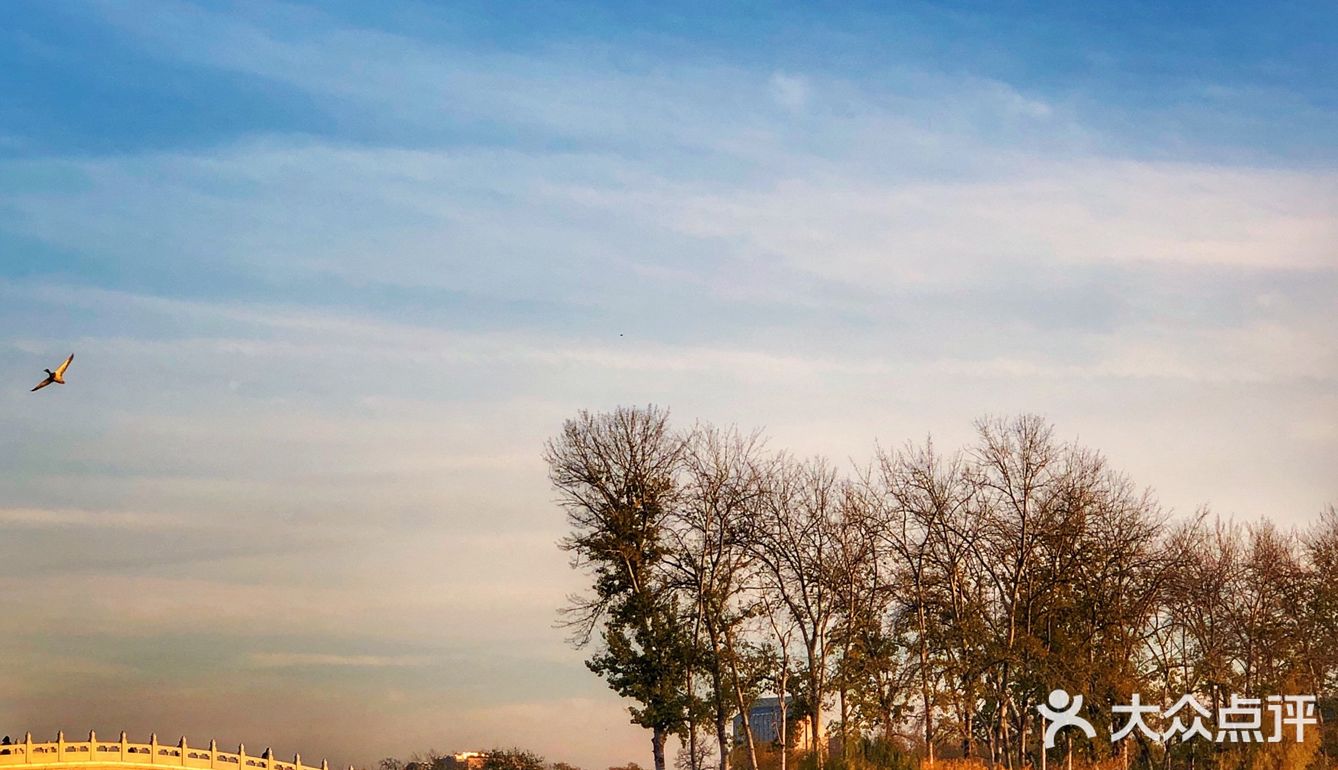 玉渊潭就是那种耐看的“姑娘”