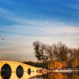 玉渊潭就是那种耐看的“姑娘”