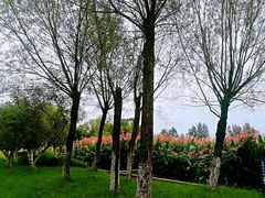 -白鹭湾湿地公园