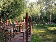 -东升文体公园