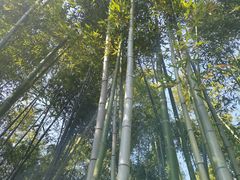 -汇龙潭