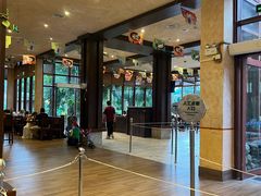 -雨林餐厅(长隆海洋王国店)