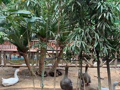 -呀路古热带植物园