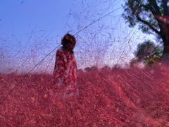 -汉长安城未央宫国家考古遗址公园