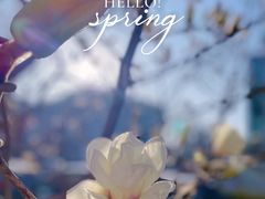 -中国中医科学院西苑医院(本部)