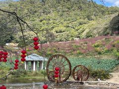 -广州市石门国家森林公园