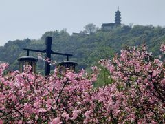 -苏州上方山国家森林公园