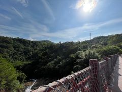 -广州白江湖森林公园