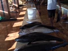 -尼甘布海鲜市场