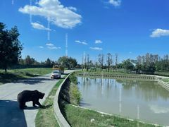 -上海野生动物园
