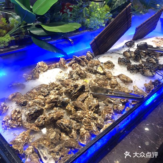 炙盈自助料理·汽石锅海鲜·烤肉(圆融店)