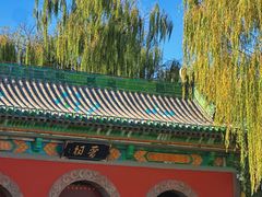 -晋祠公园