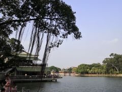 -公园茶楼粤式点心