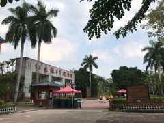 -红色娘子军纪念园