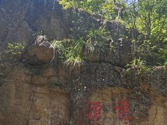 -天台山琼台仙谷景区