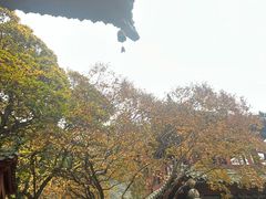 -报恩寺(平武县)