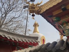 -护国法轮寺