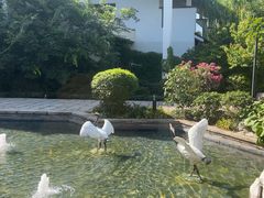 -广富林宰相府酒店·水云间