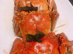 -东方御宴海鲜酒楼(棕泉酒店)