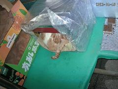 -珍记海鲜酒家(嵩山路店)