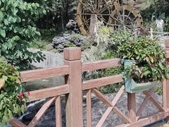 -广州白江湖森林公园