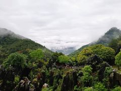 -玉石林风景区