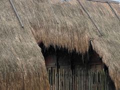 -河姆渡遗址博物馆