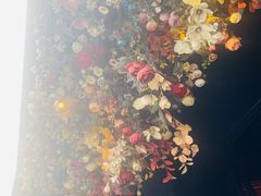 -成都娃娃花园餐厅 (南艺旗舰店)