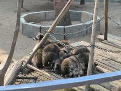 -济南野生动物世界