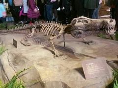 -自贡恐龙博物馆