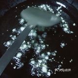 晃晃悠悠家家常菜谱系列之清炒红薯叶