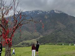 -硗碛藏寨·神木垒景区