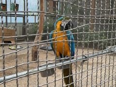 -南宫五洲植物乐园