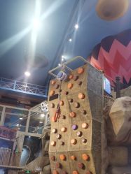 -卡通尼·Safari非洲探索乐园·生日会(金桥国际商业广场店)