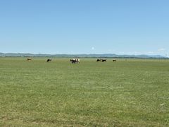 -塞罕坝国家级自然保护区