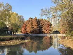 -白塘生态植物园