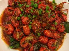 -老梅园大虾城(八一桥店)