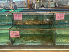 -荔城生鲜盛宴(番禺旗舰店)