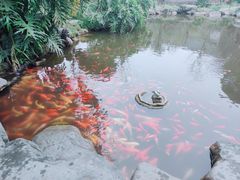-成都川菜博物馆