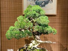 -双季花艺园艺市场(浦东店)