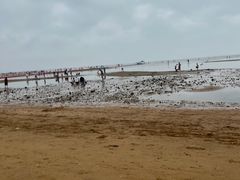 -东戴河风景区-止锚湾